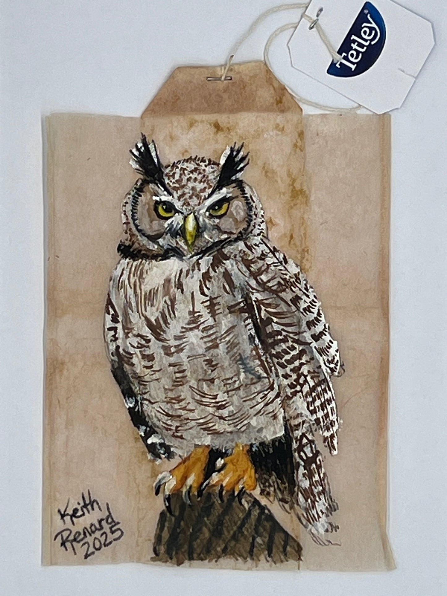 Owl
