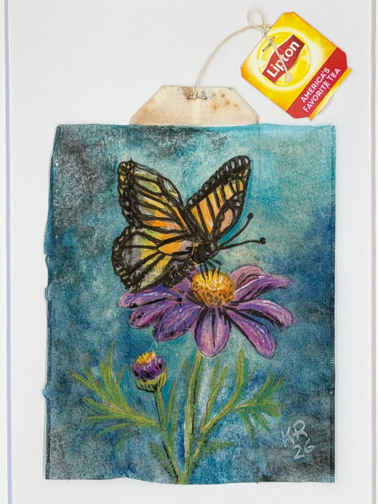 Monarch Butterfly on Purple Flower