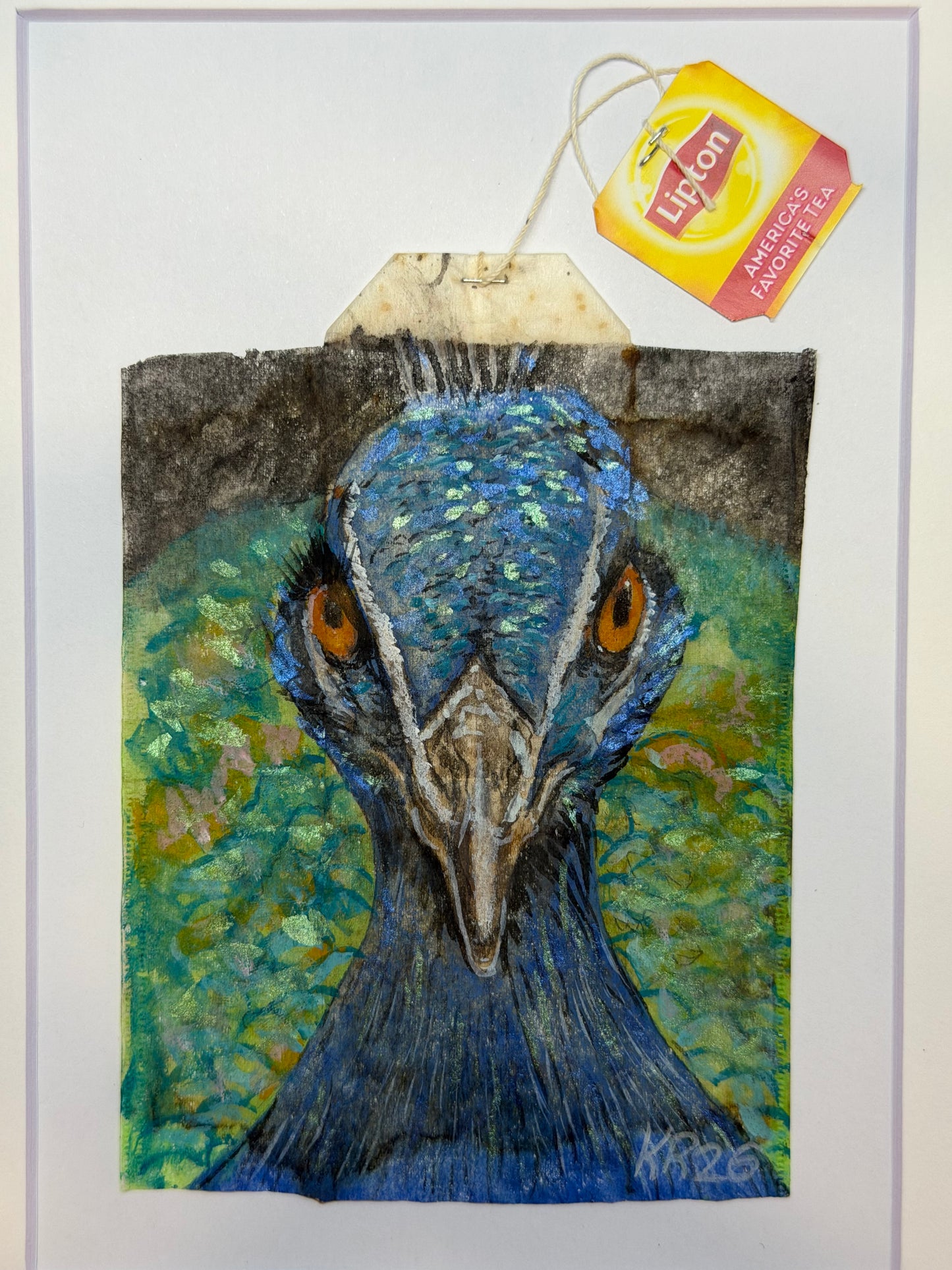 Peacock