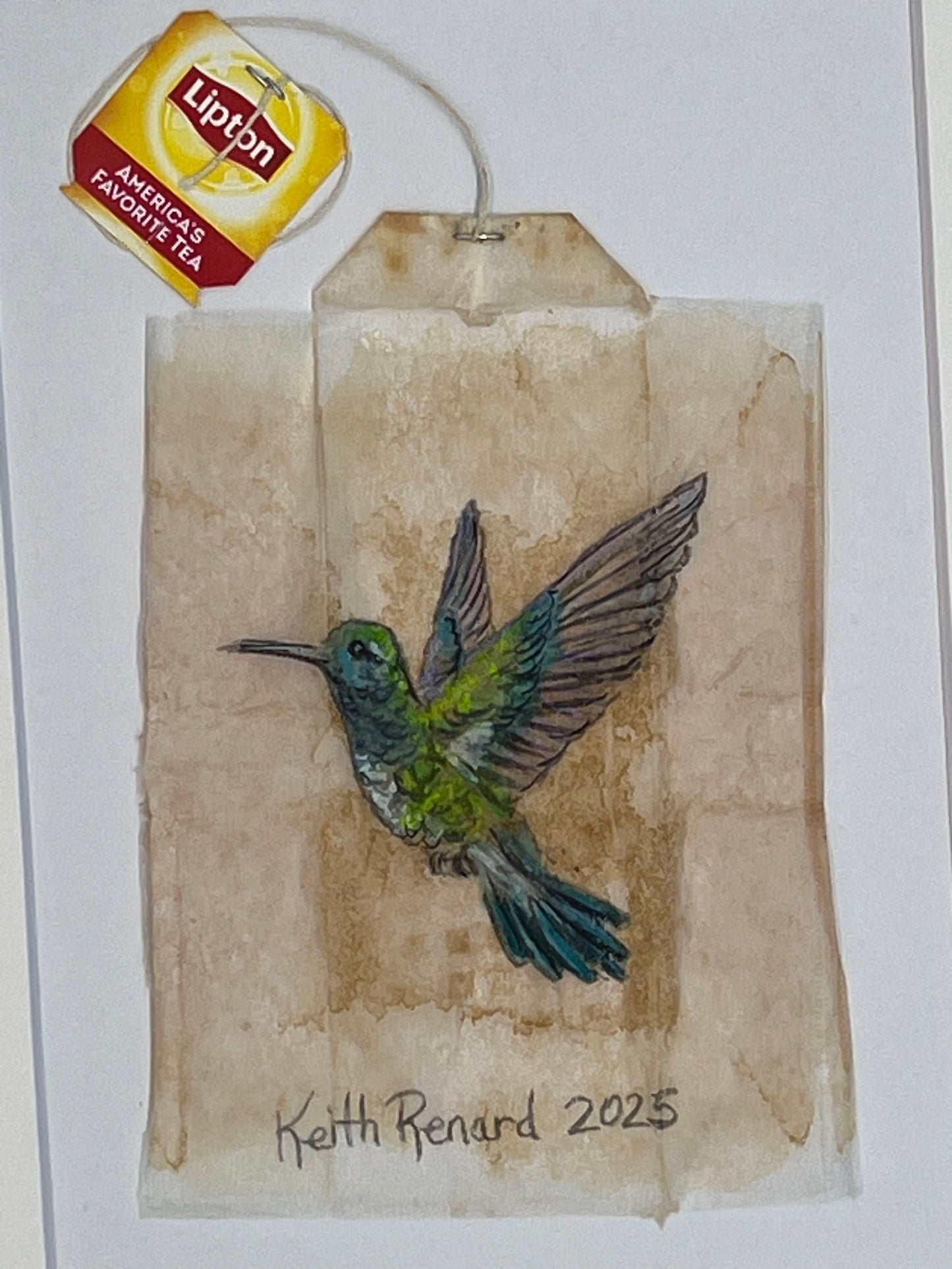 Hummingbird