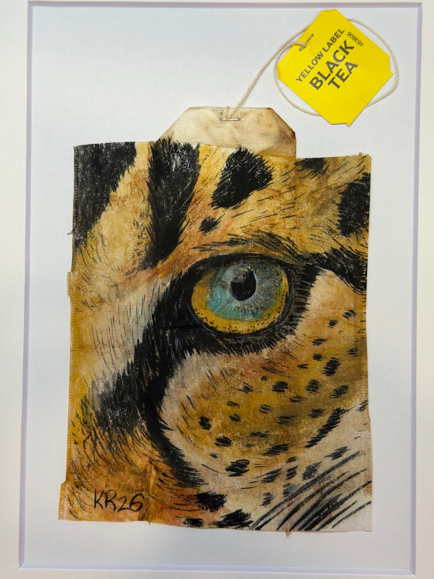 Cheeta Eye