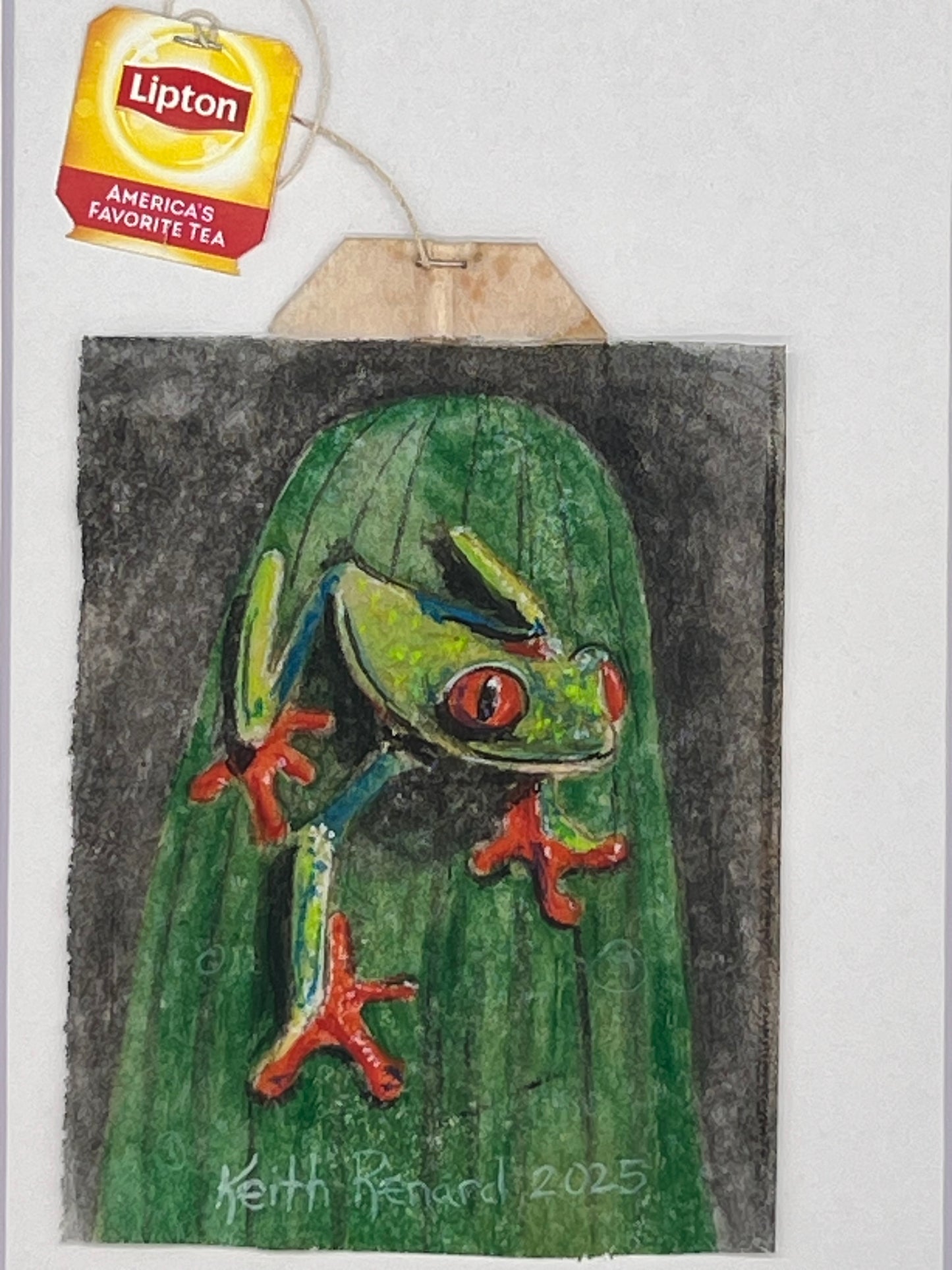 Frog on leaf