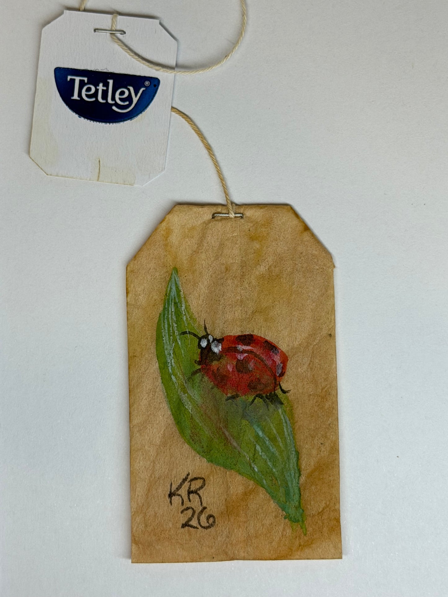 Mini Teabag Ladybug on leaf