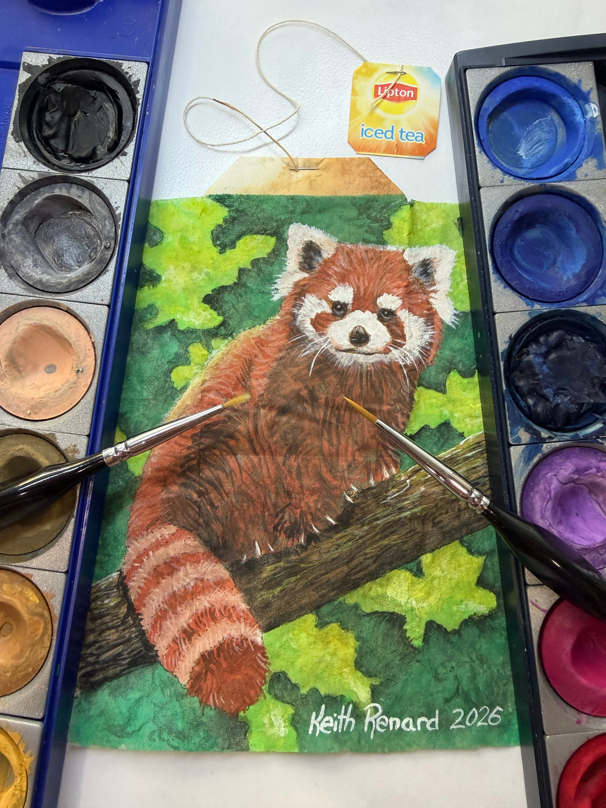 Philadelphia Zoo Art 11x14 framed