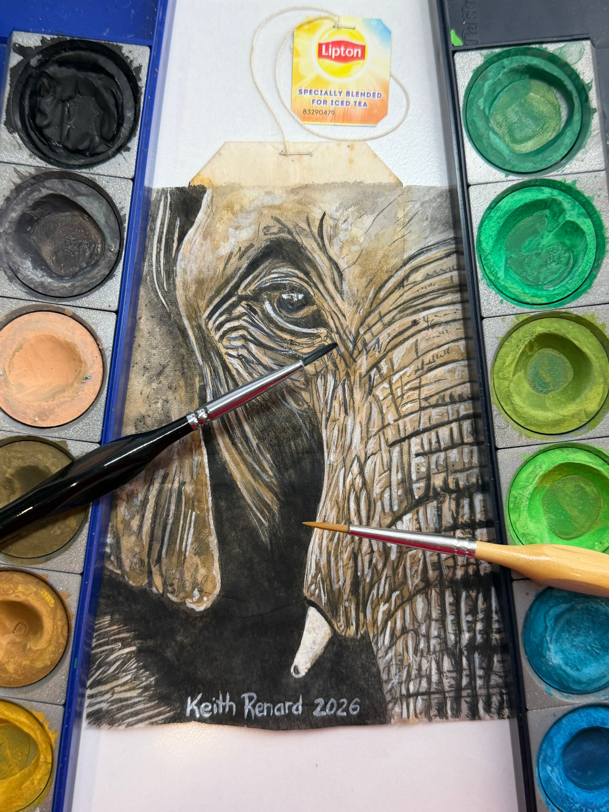 Philadelphia Zoo Art 11x14 framed