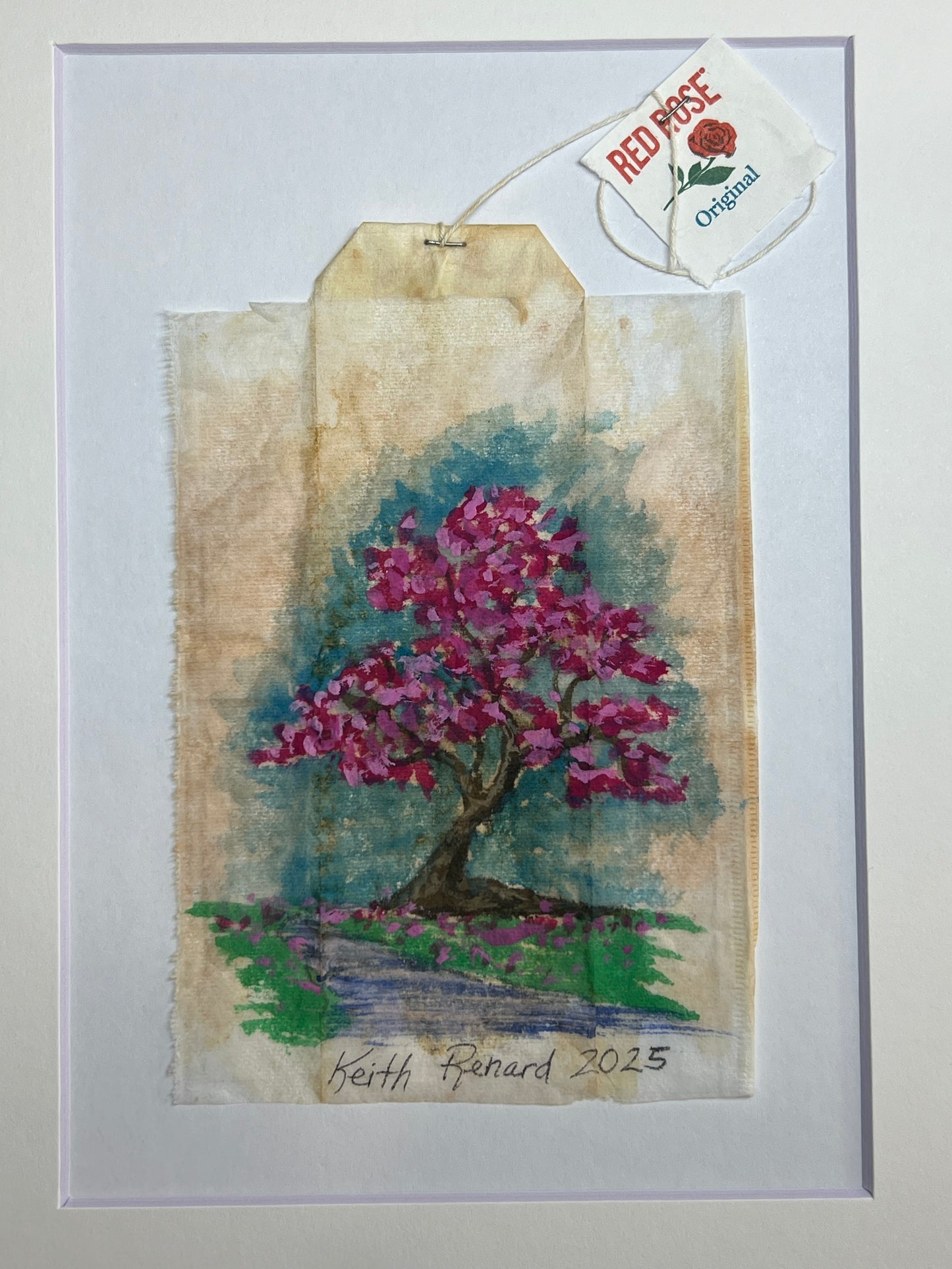 Cherry blossom tree brook
