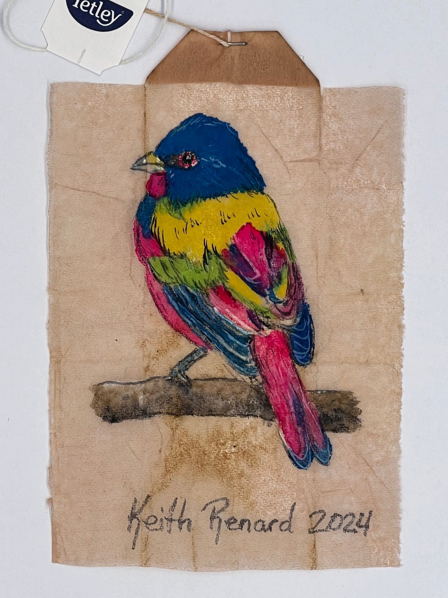 Colorful Bird