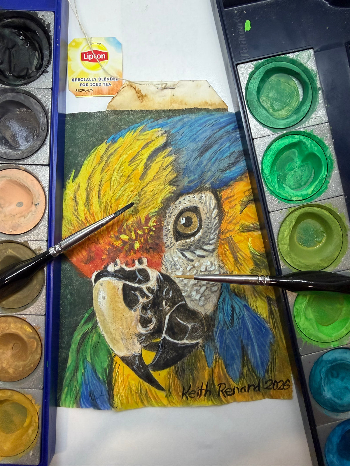 Philadelphia Zoo Art 11x14 framed