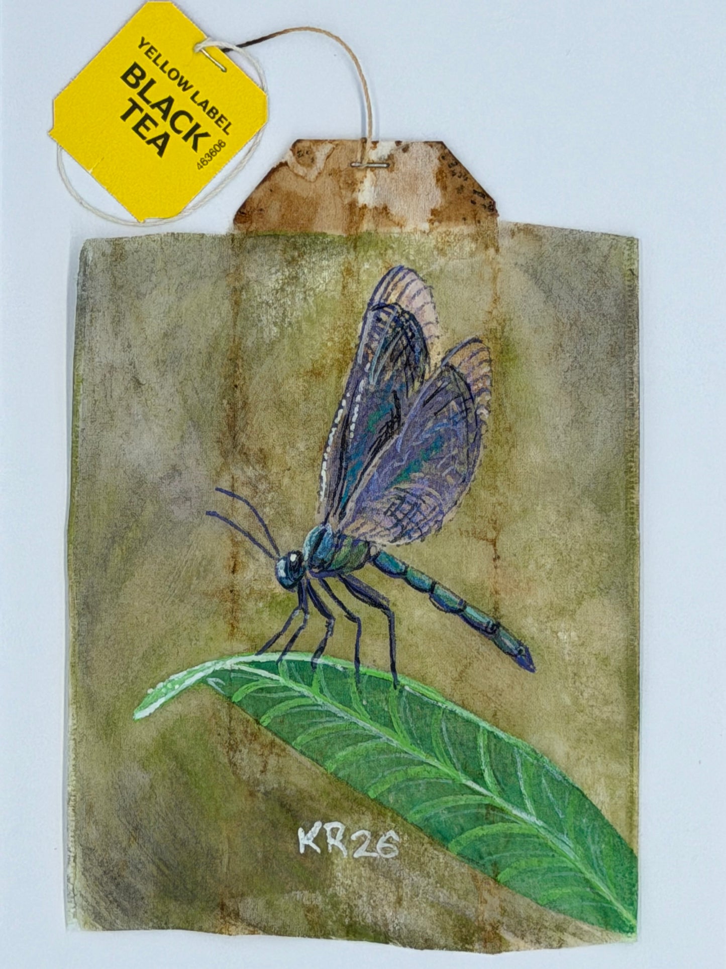 Dragonfly