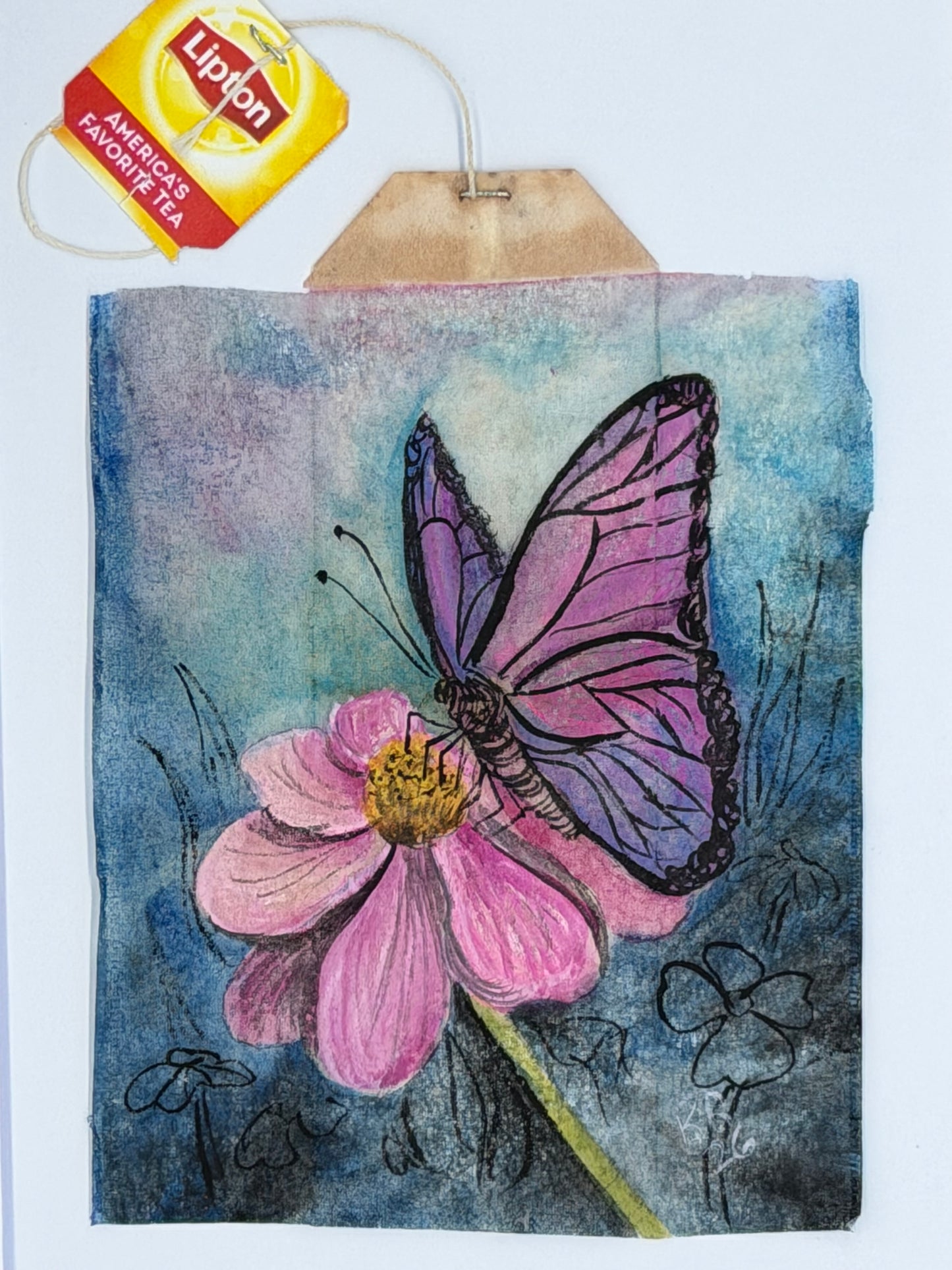 Purle Butterfly on Pink Flower