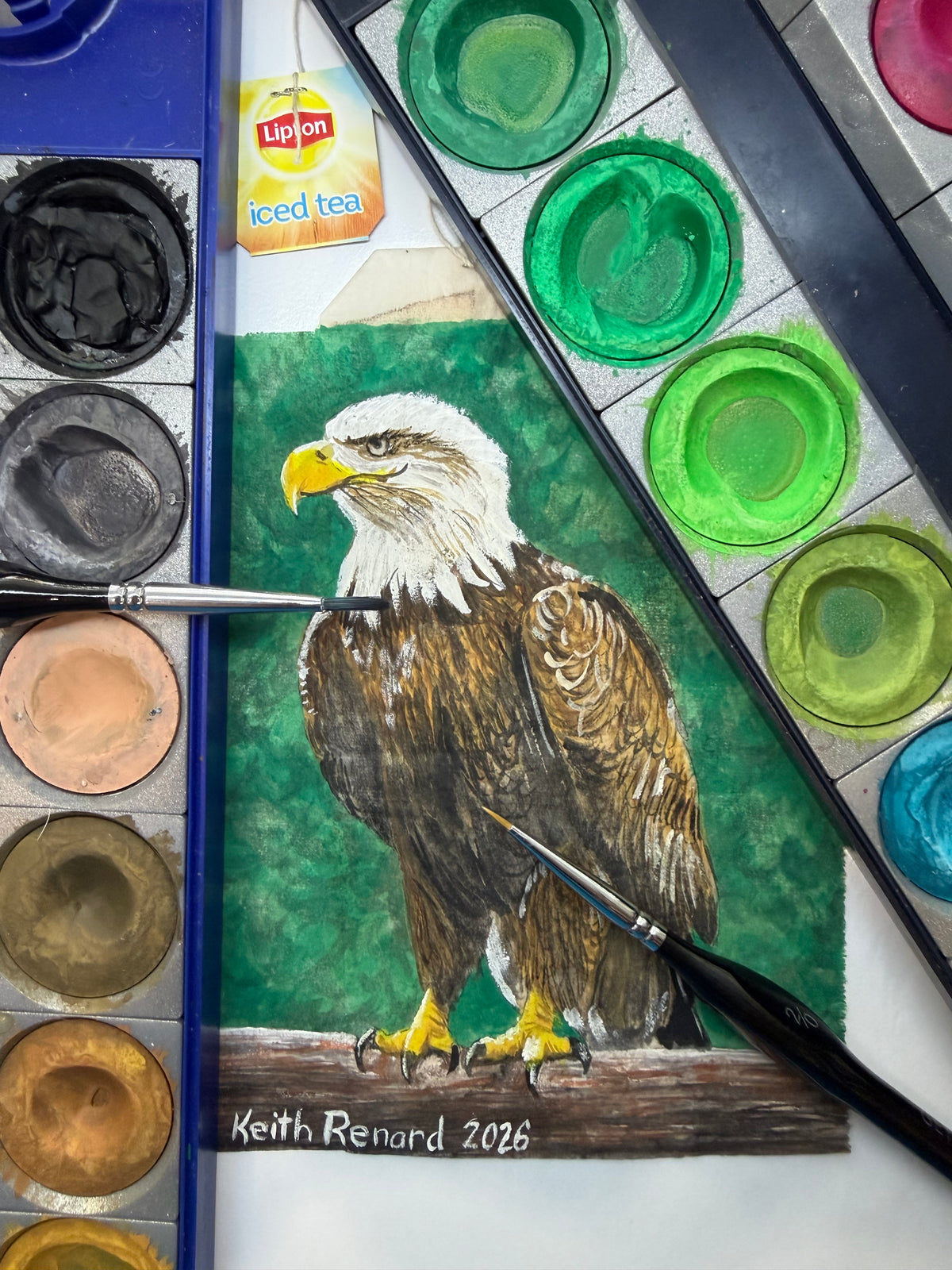 Philadelphia Zoo Art 11x14 framed