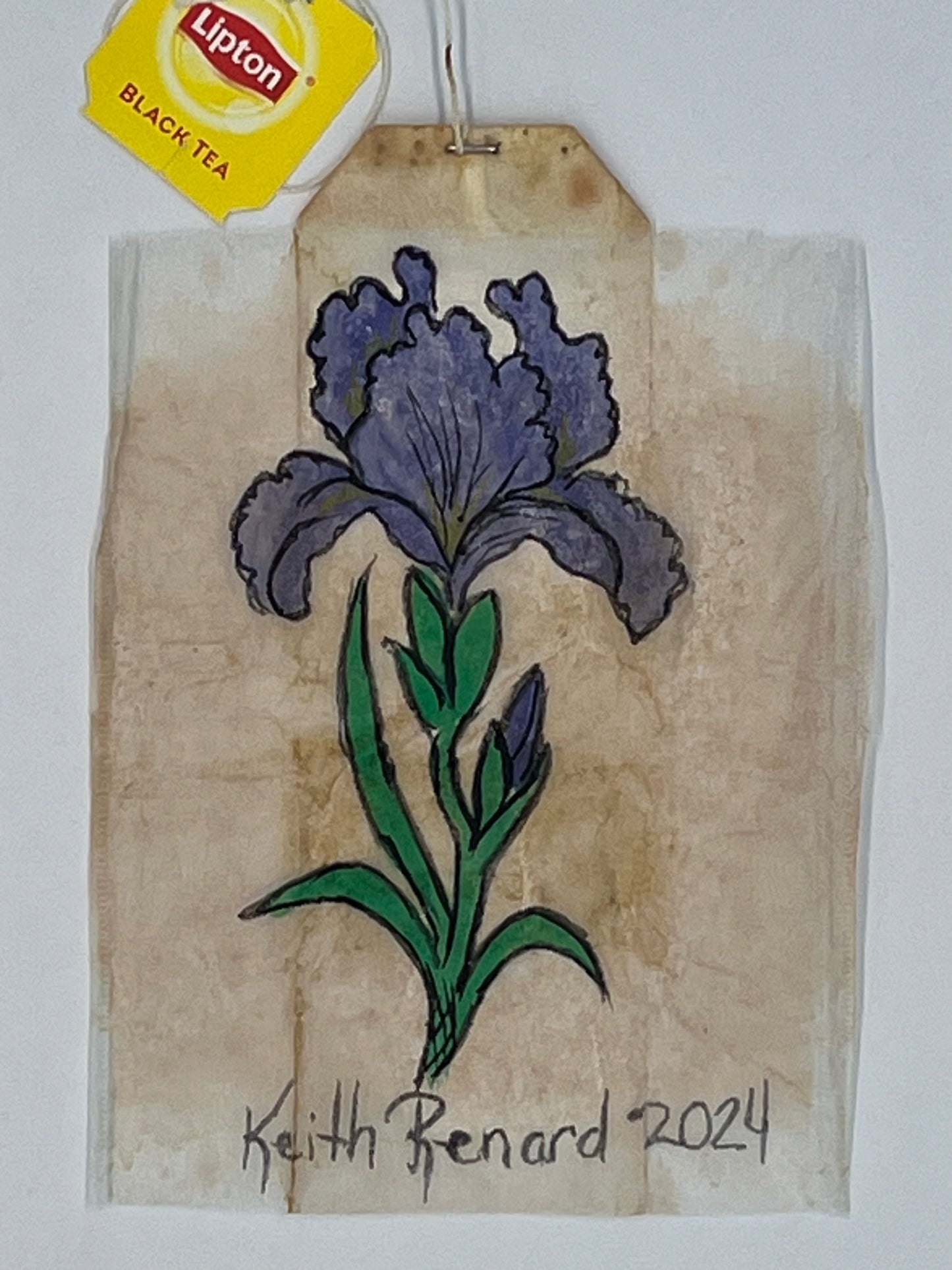 Iris