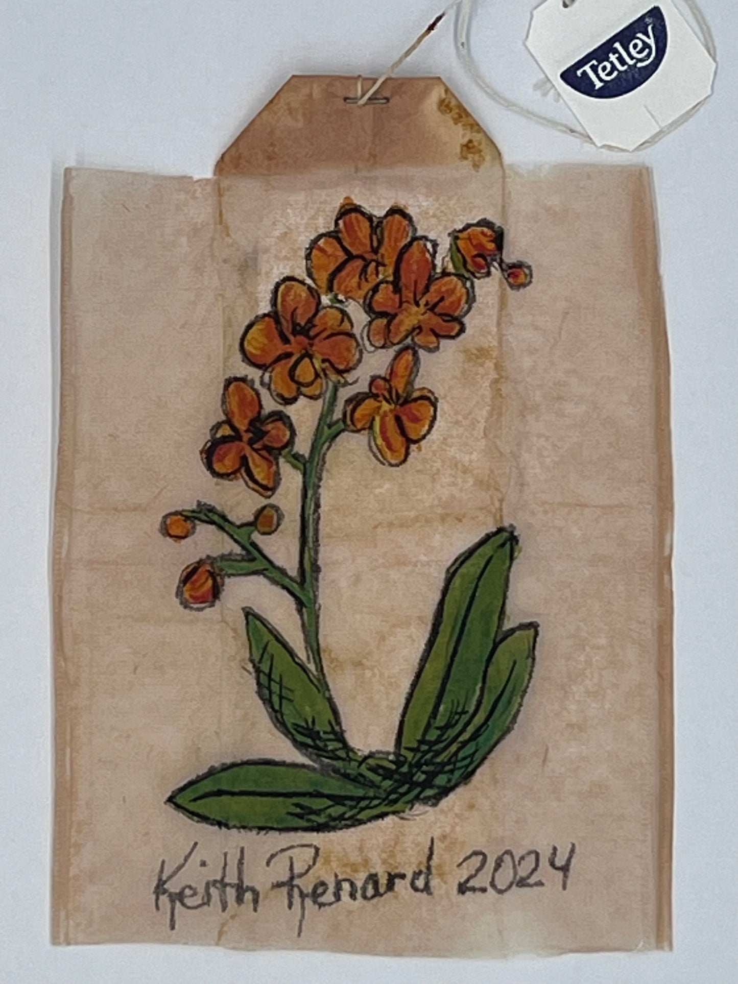Orange Orchid