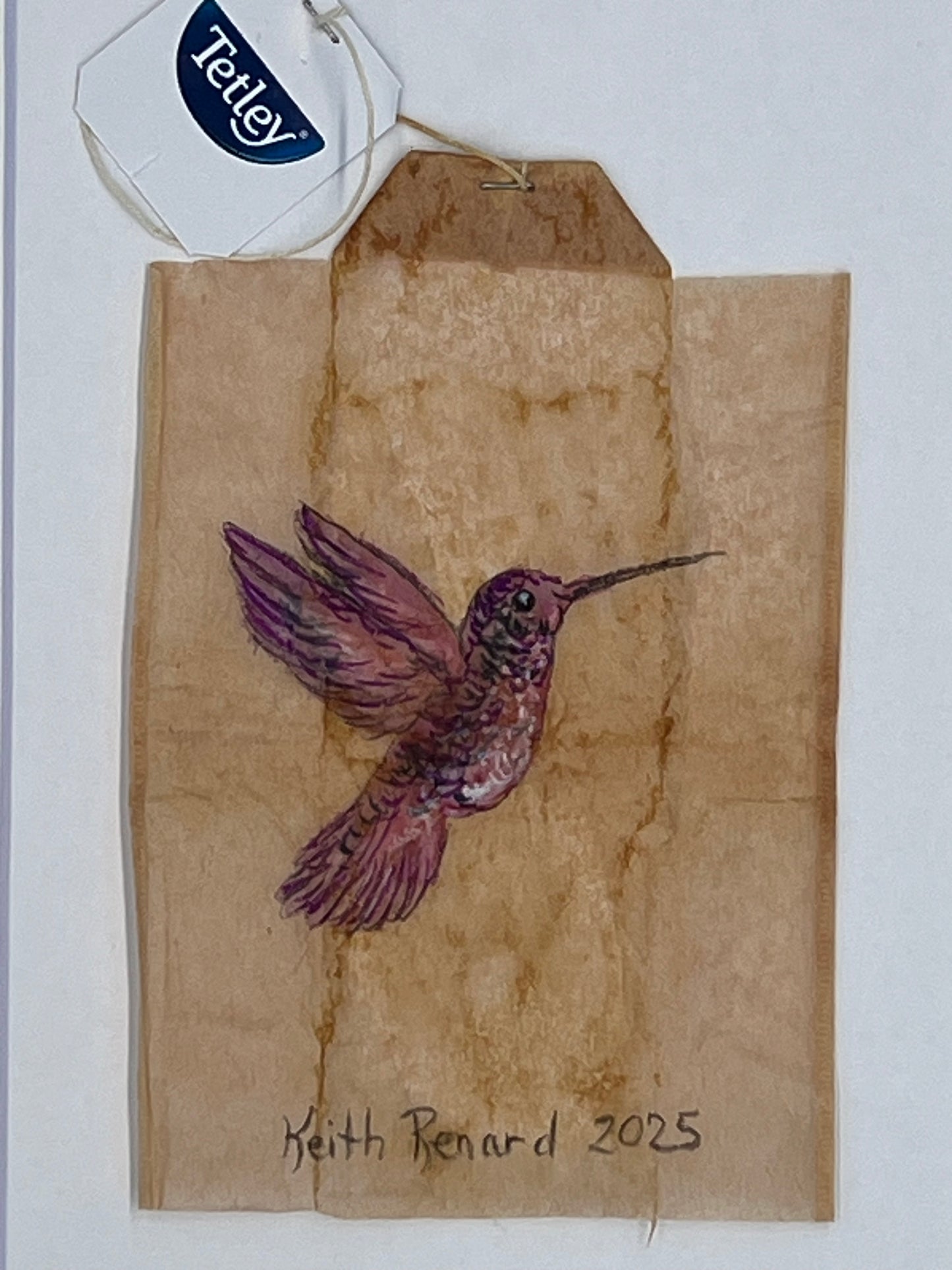 Pink Hummingbird