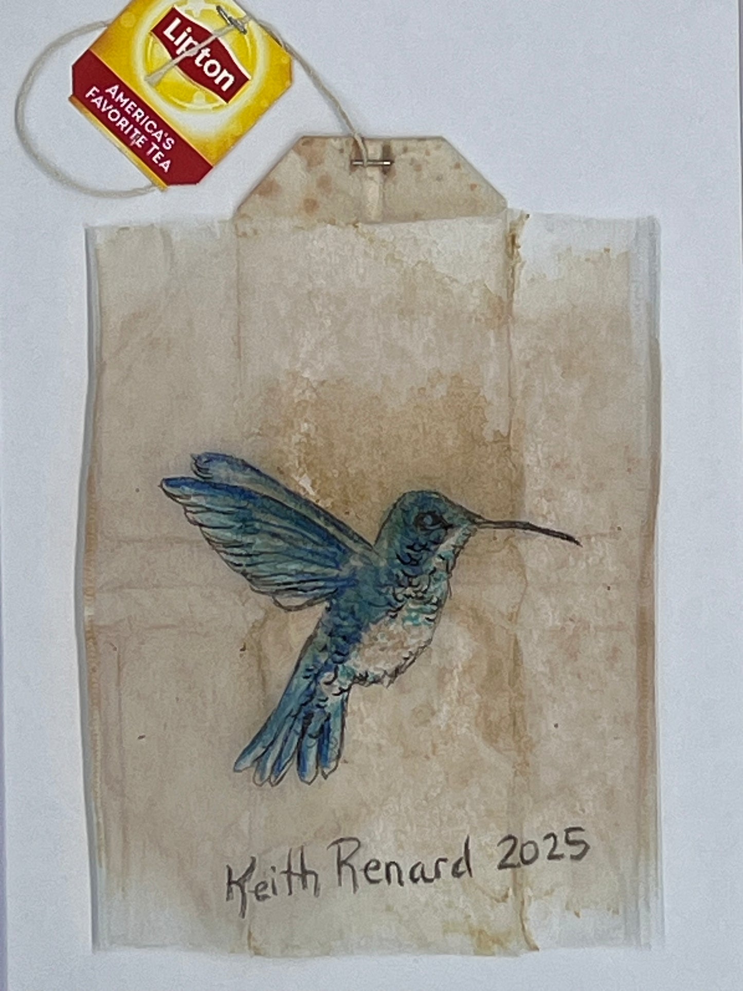 Blue Hummingbird