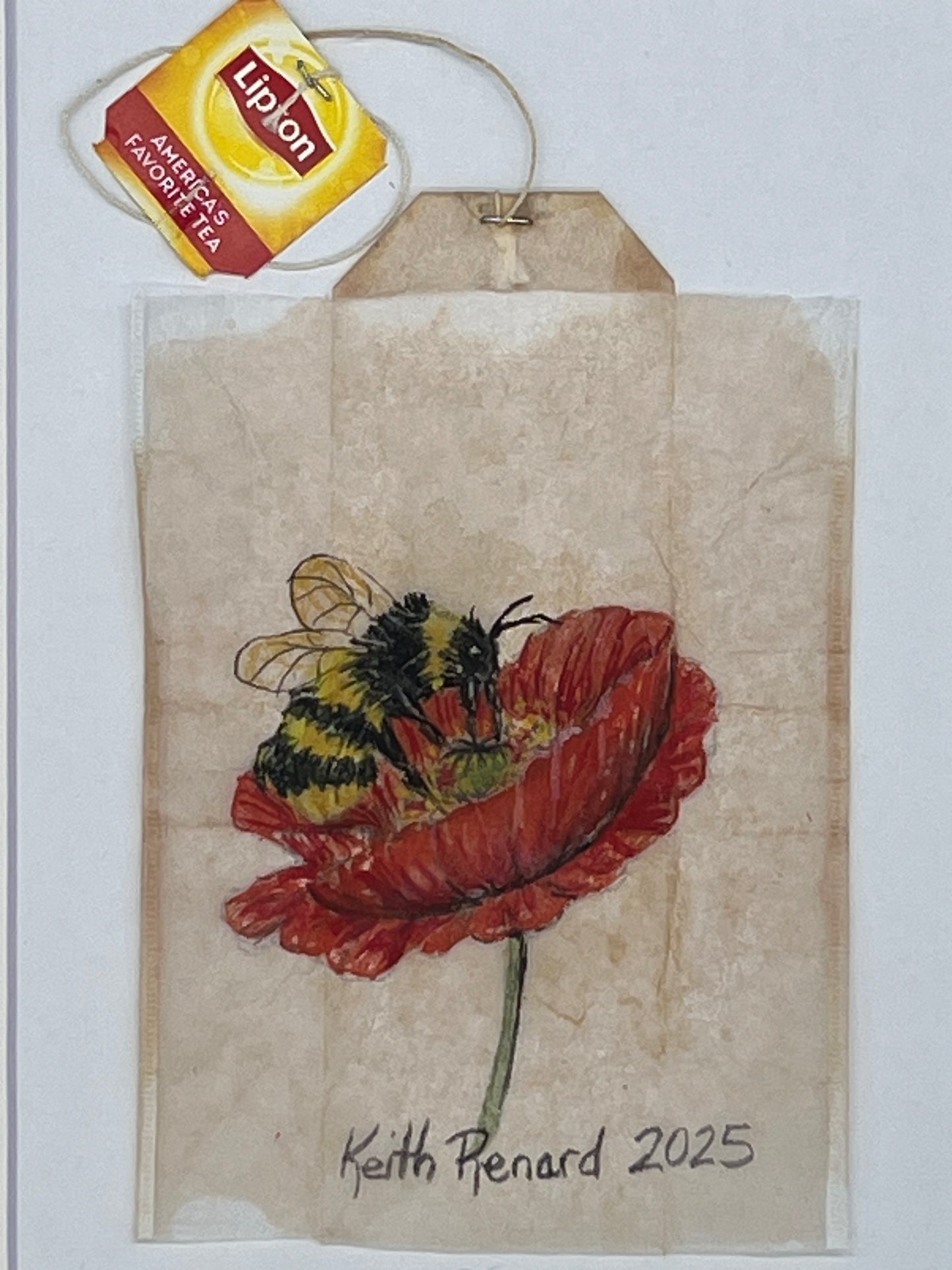 Bee on Poppy