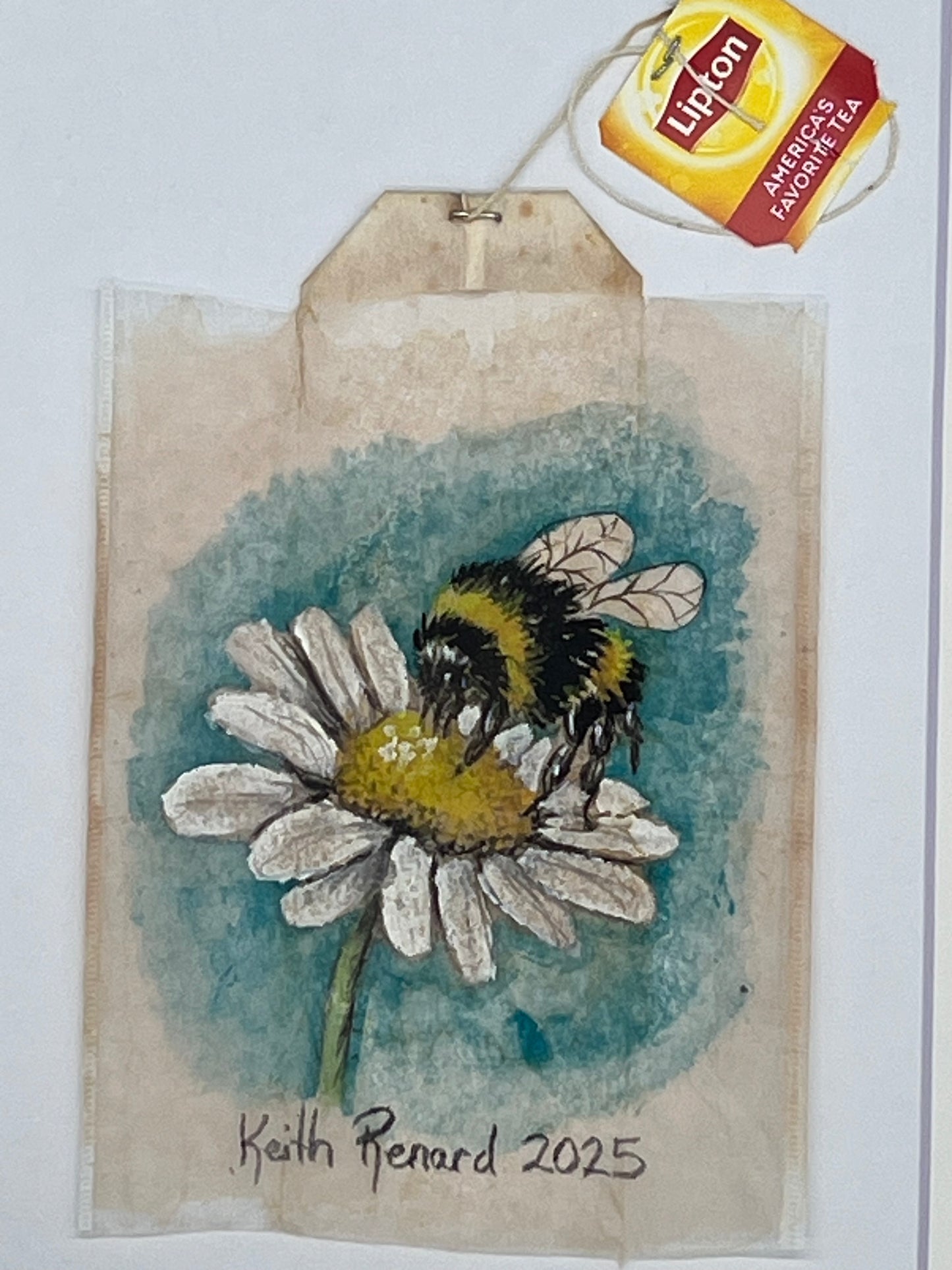 Bee on Daisy