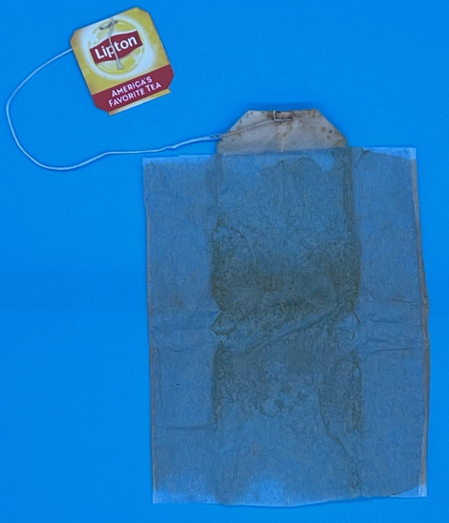 Custom Hand Painted Regular Size Teabag Made to Order