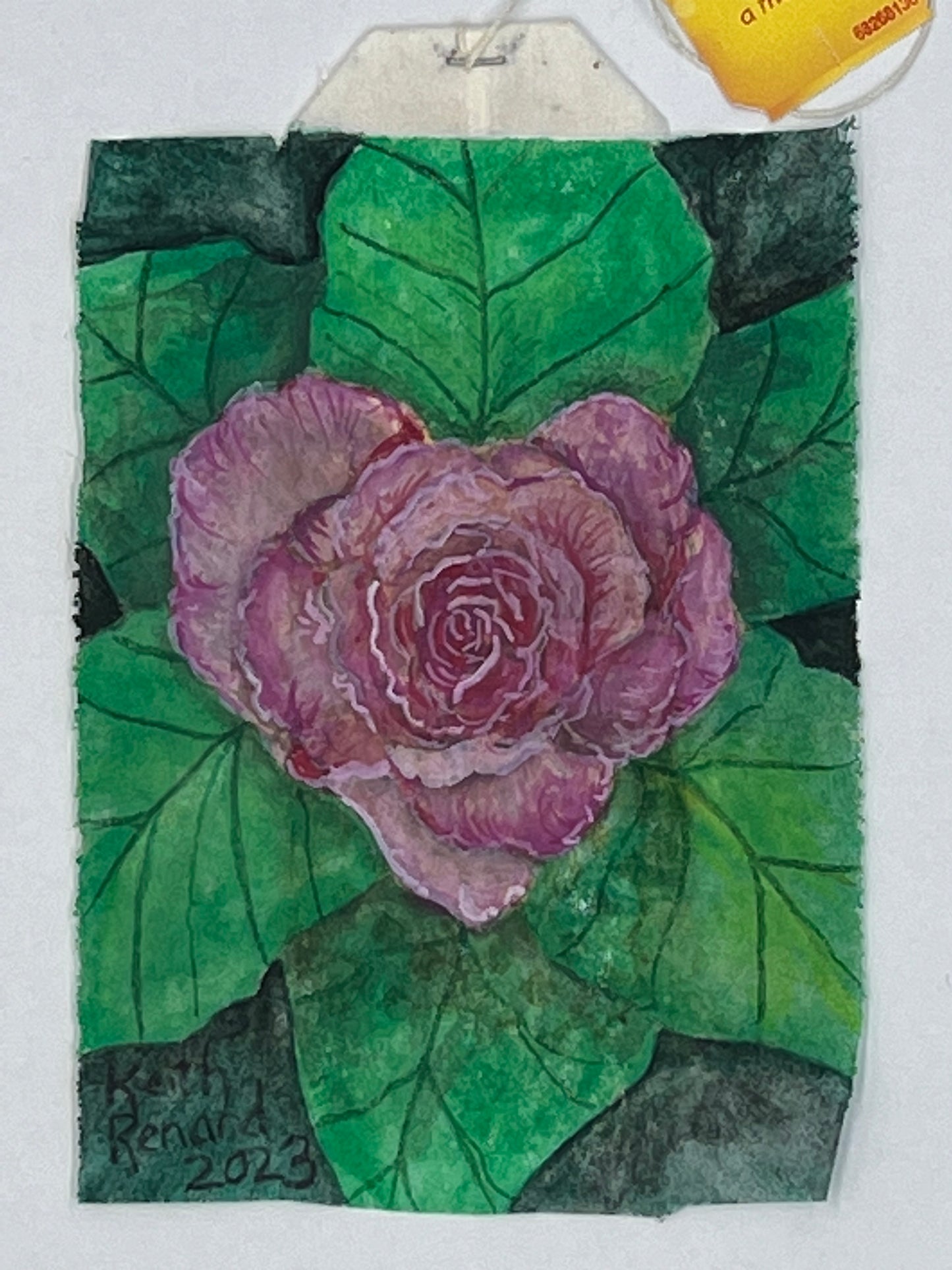 Pink heart shaped rose