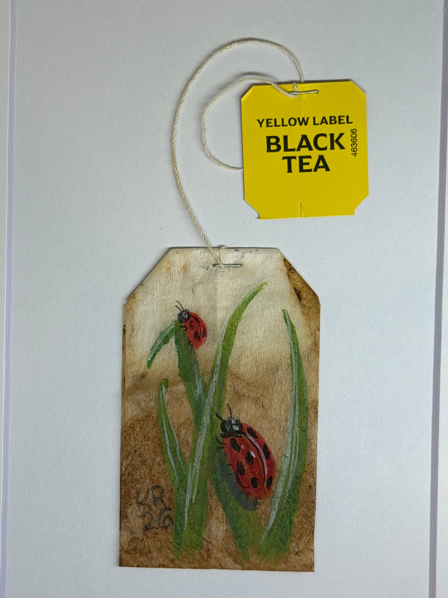 Mini Teabag Ladybugs on leaves
