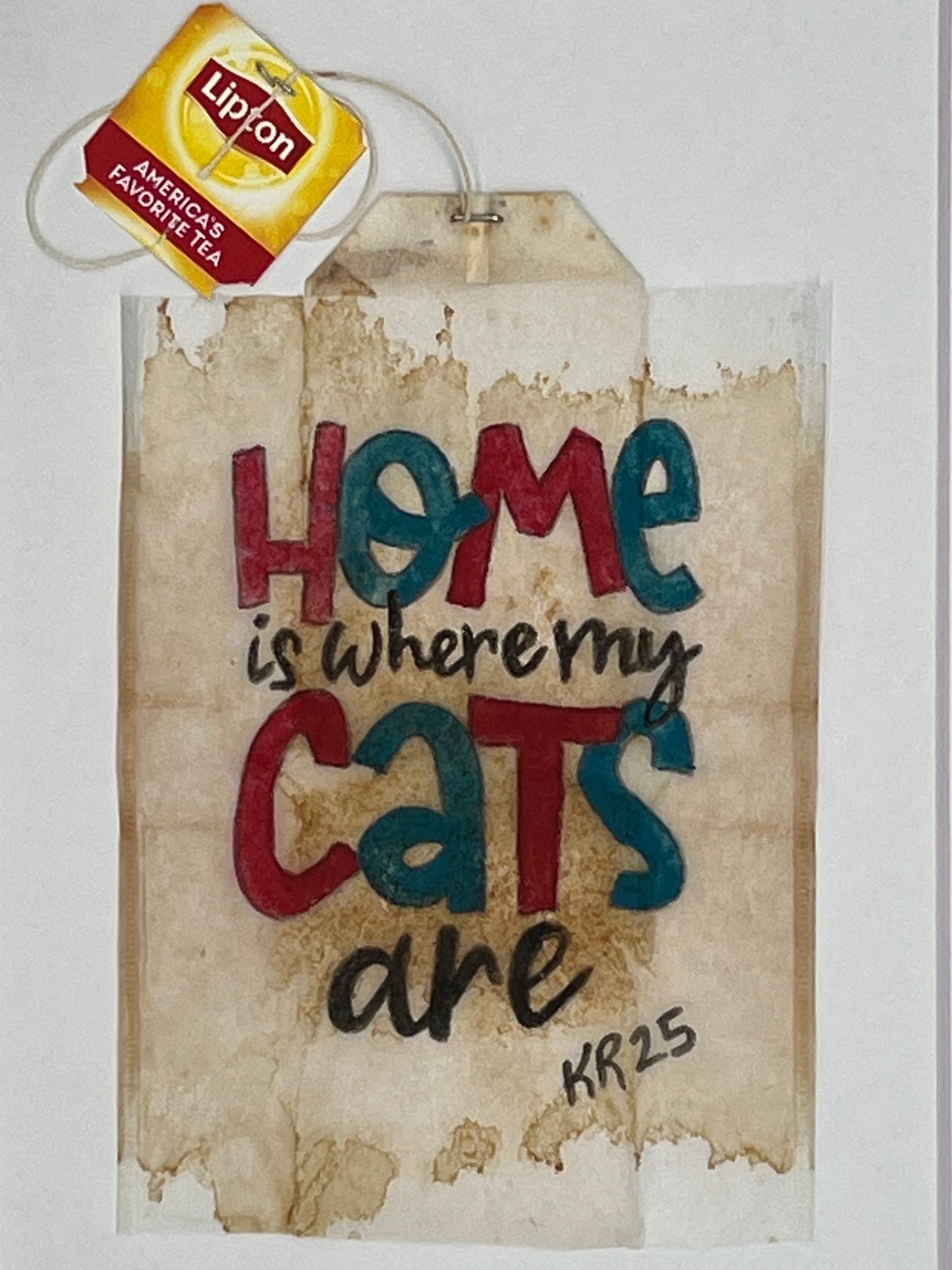 Home is where my cats are