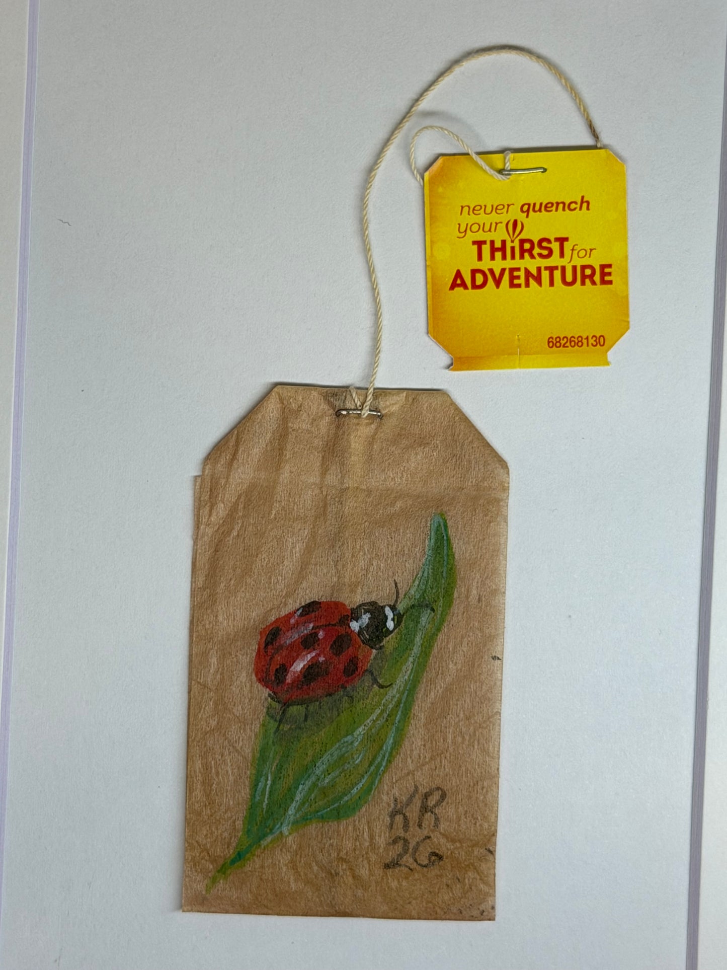 Mini Teabag Ladybug on leaf
