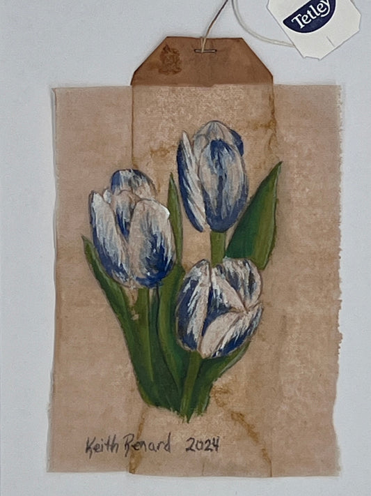 Blue, white tulips