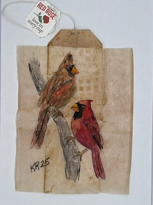Cardinal male and female