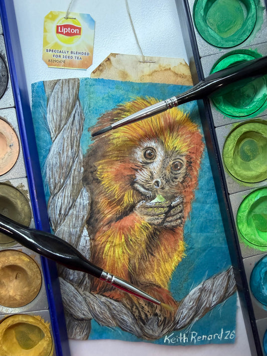 Philadelphia Zoo Art 11x14 framed