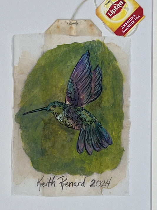 Hummingbird green background