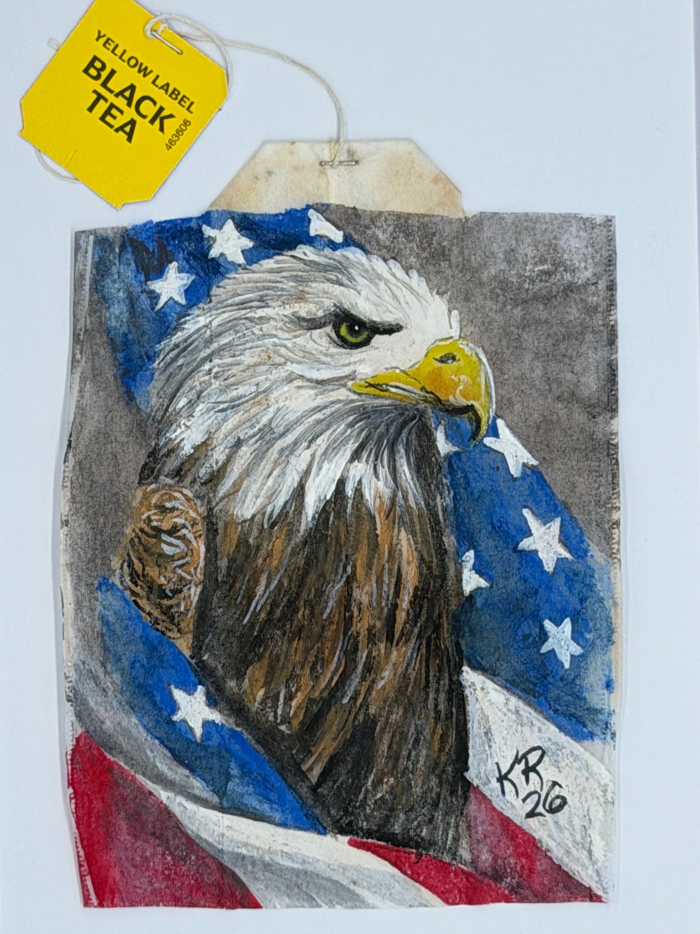 Bald Eagle with Americal Flag