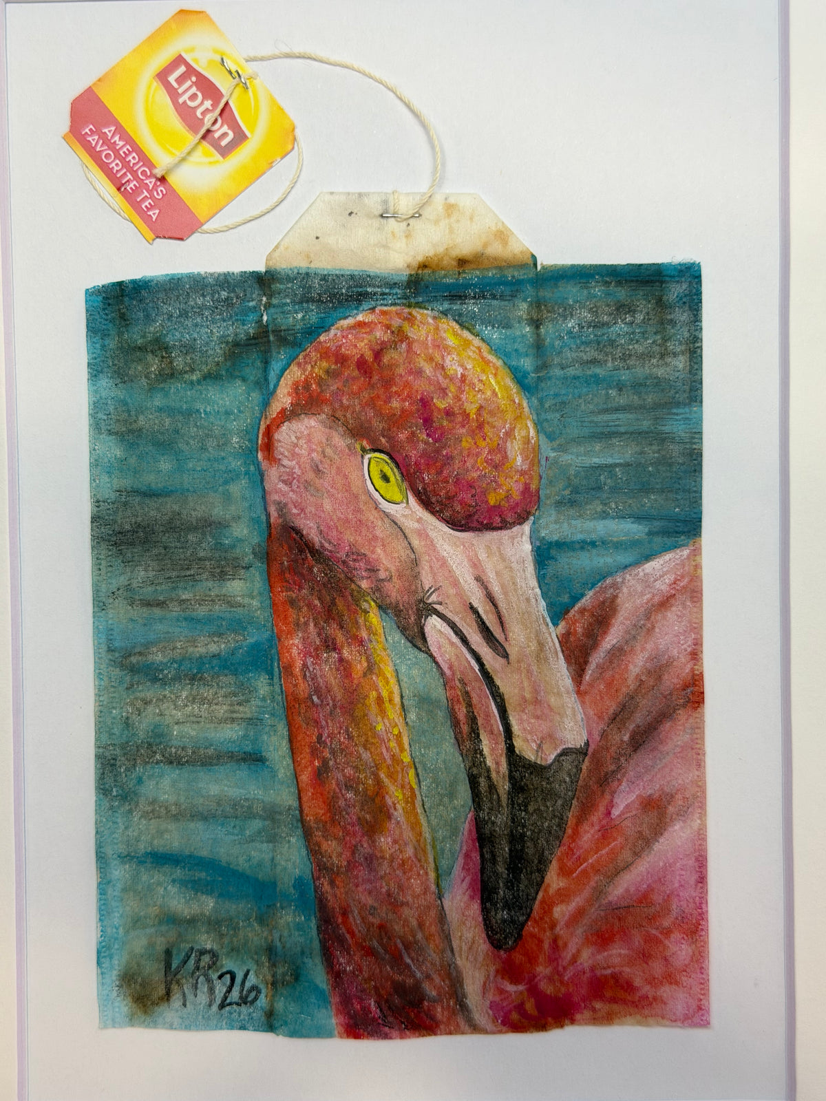 Flamingo