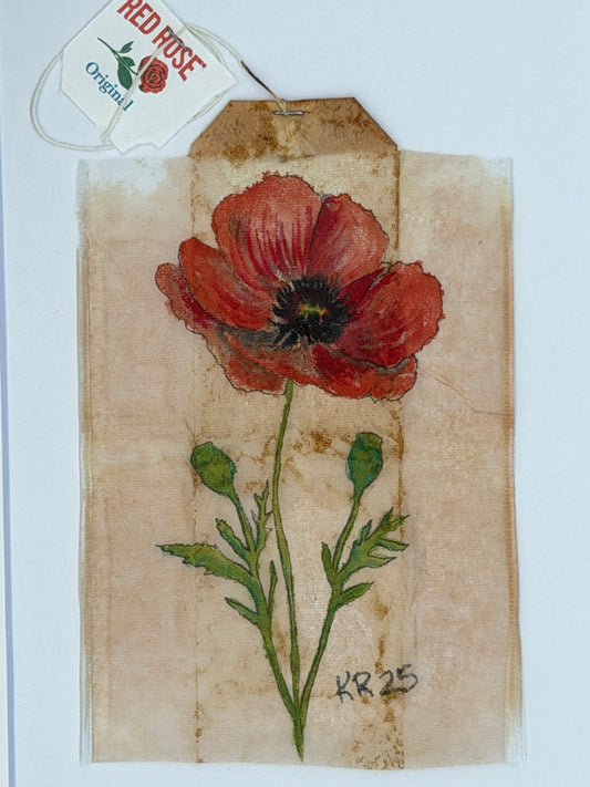 Red Poppy