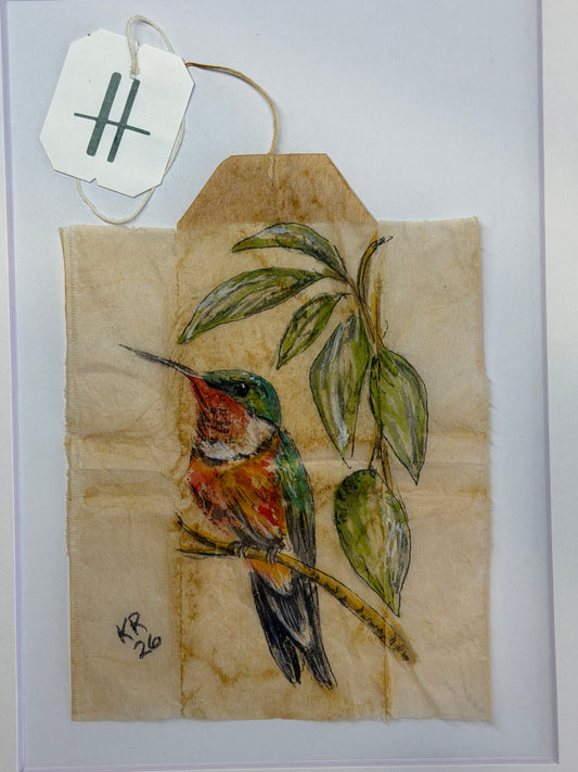 Hummingbird on Branch