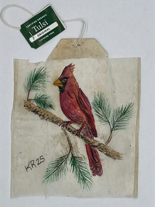 Cardinal pine