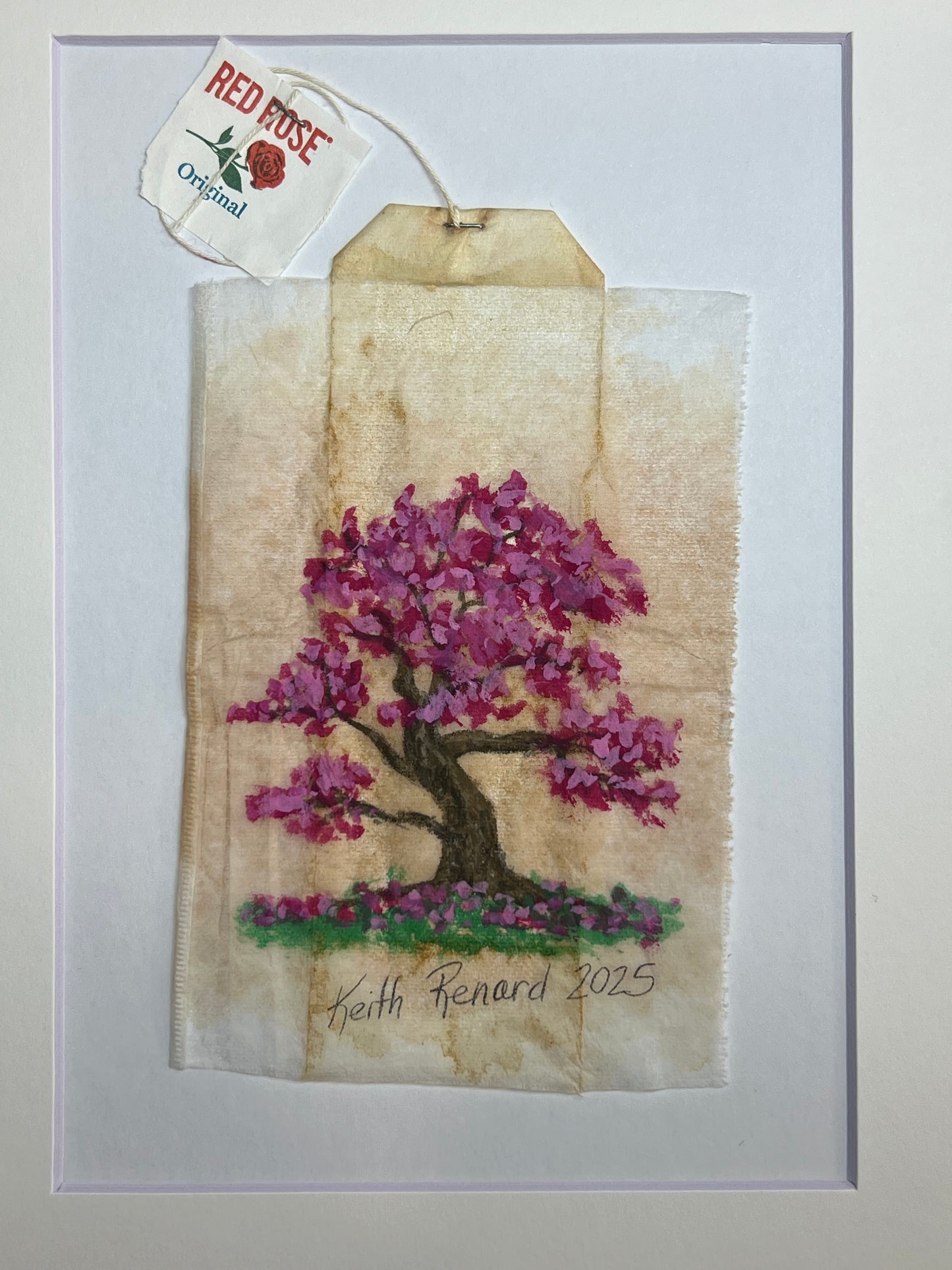 Cherry blossom tree