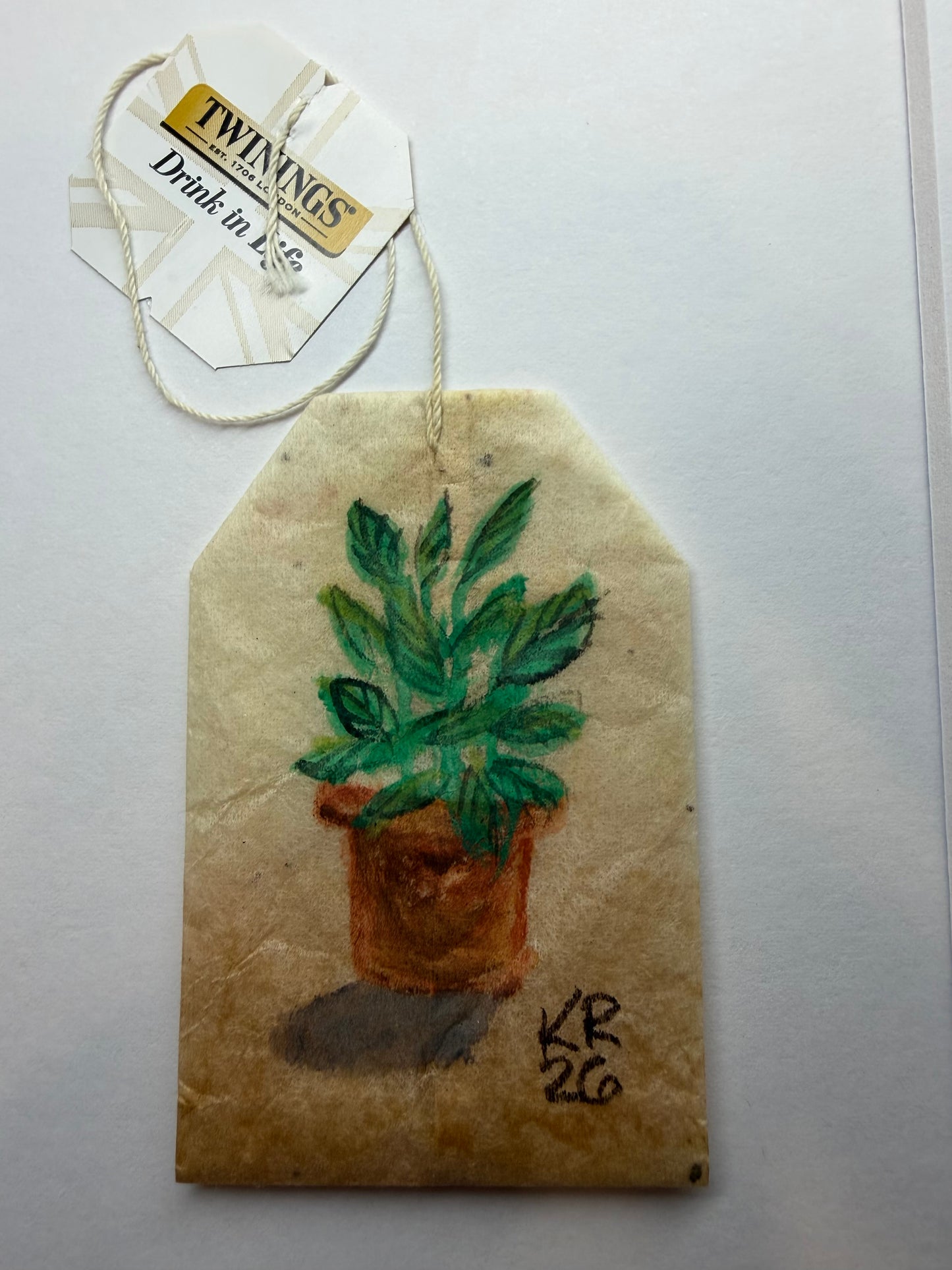 Mini Teabag Green plant
