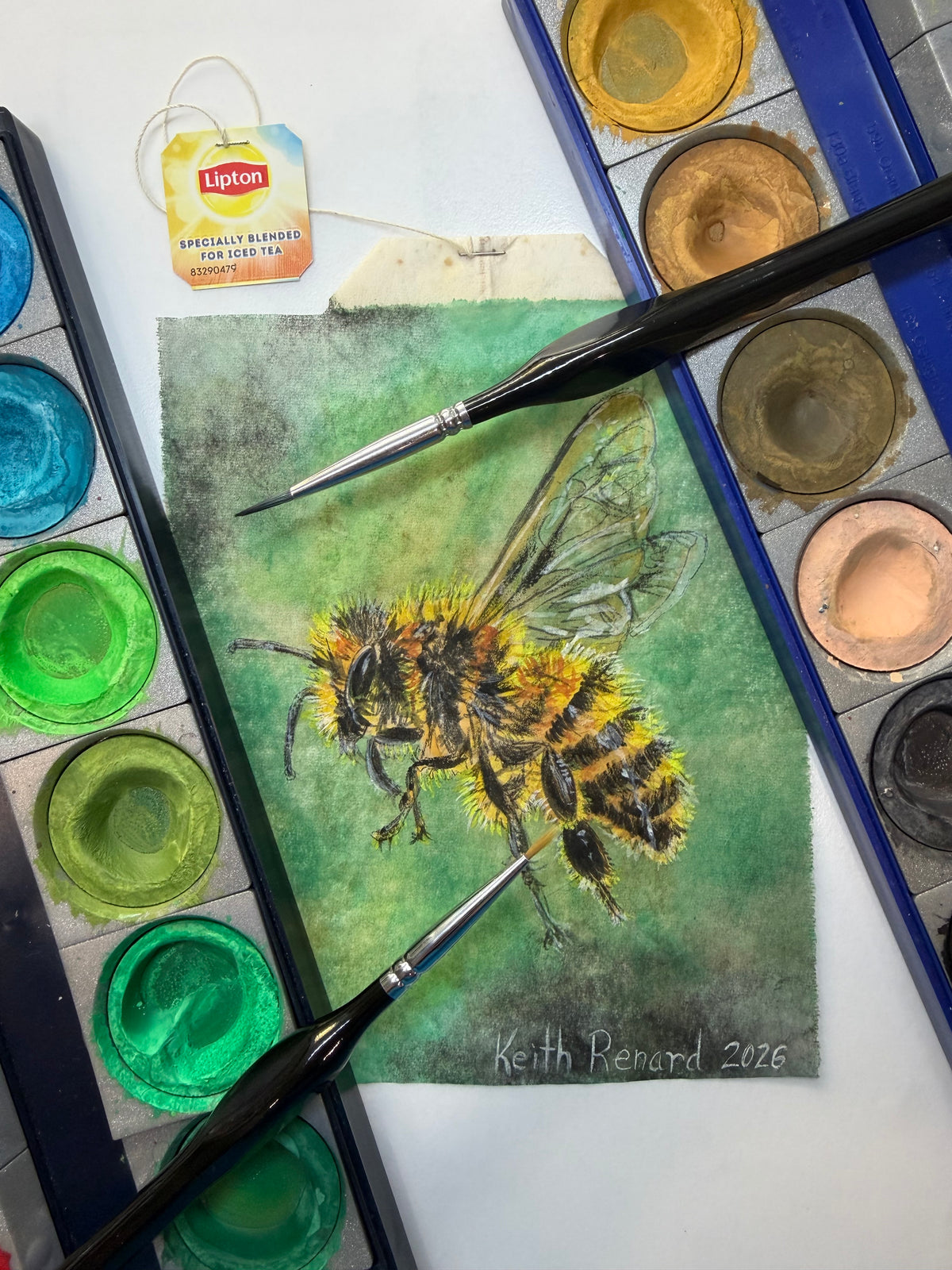 Philadelphia Zoo Art 11x14 framed