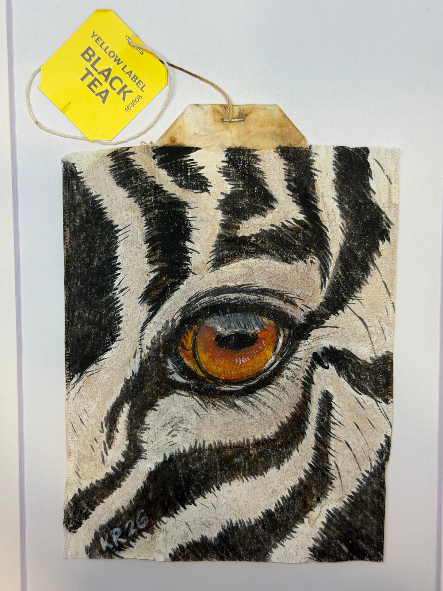 Zebra Eye