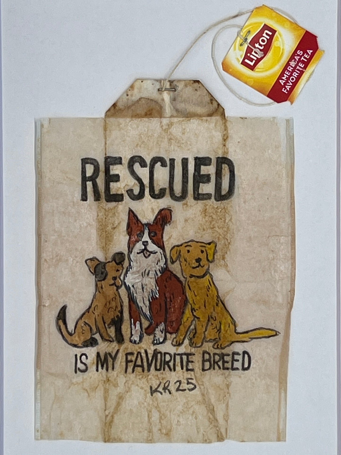rescued is my favorite breed