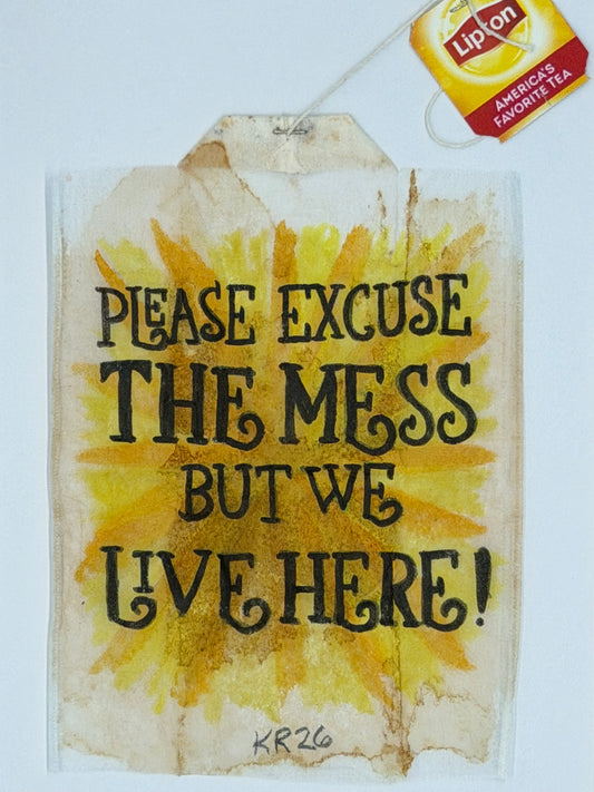 Please excuse the mess but we live here!