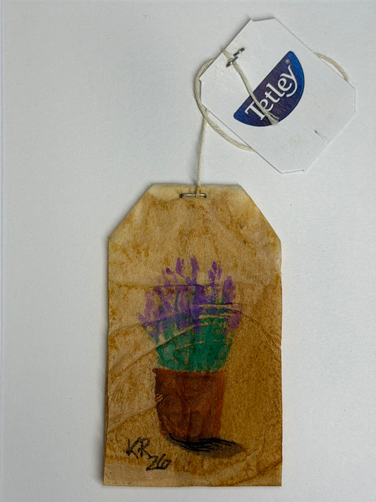 Mini Teabag Lavender in a pot