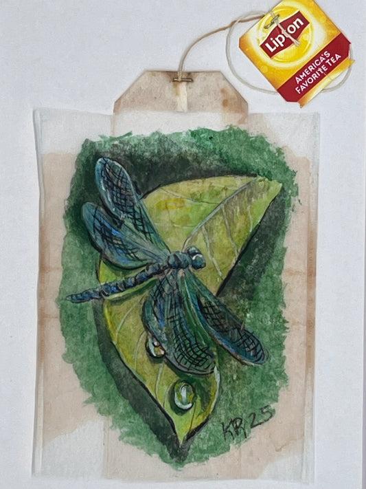 Dragonfly on a leaf