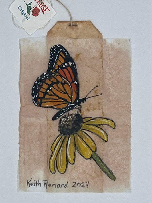 Monarch Butterfly on a Daisy