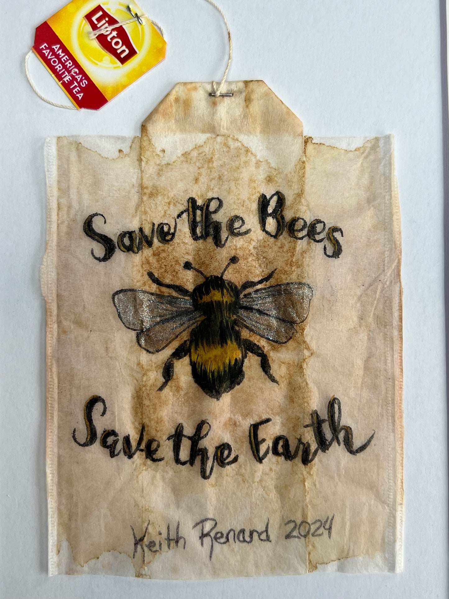 Save the Bees Save the Earth