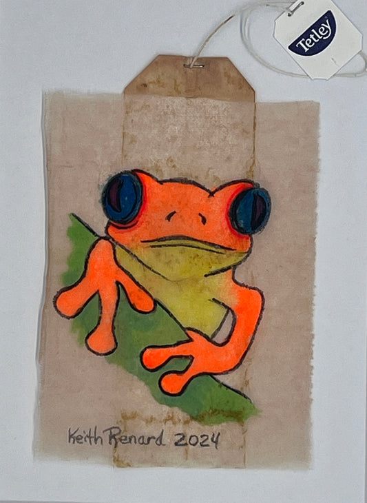Orange tree frog