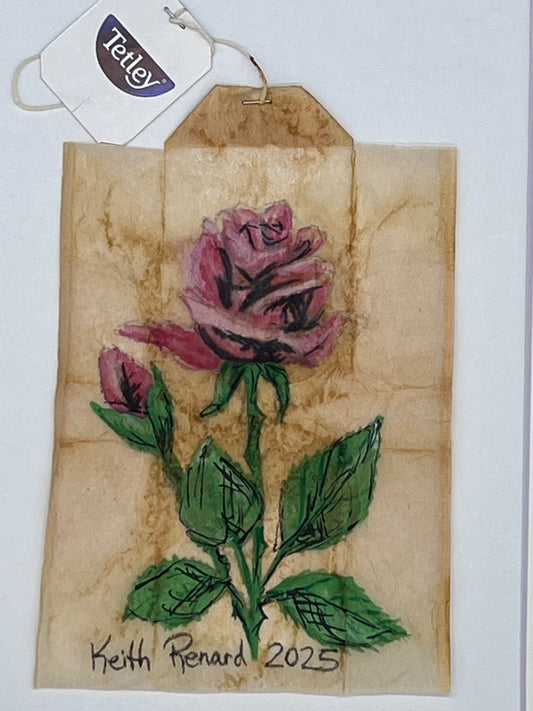 Pink rose with bud