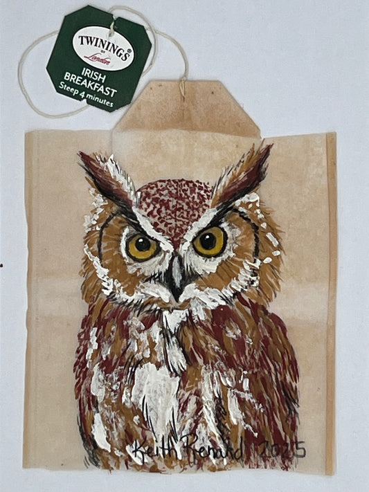 Owl