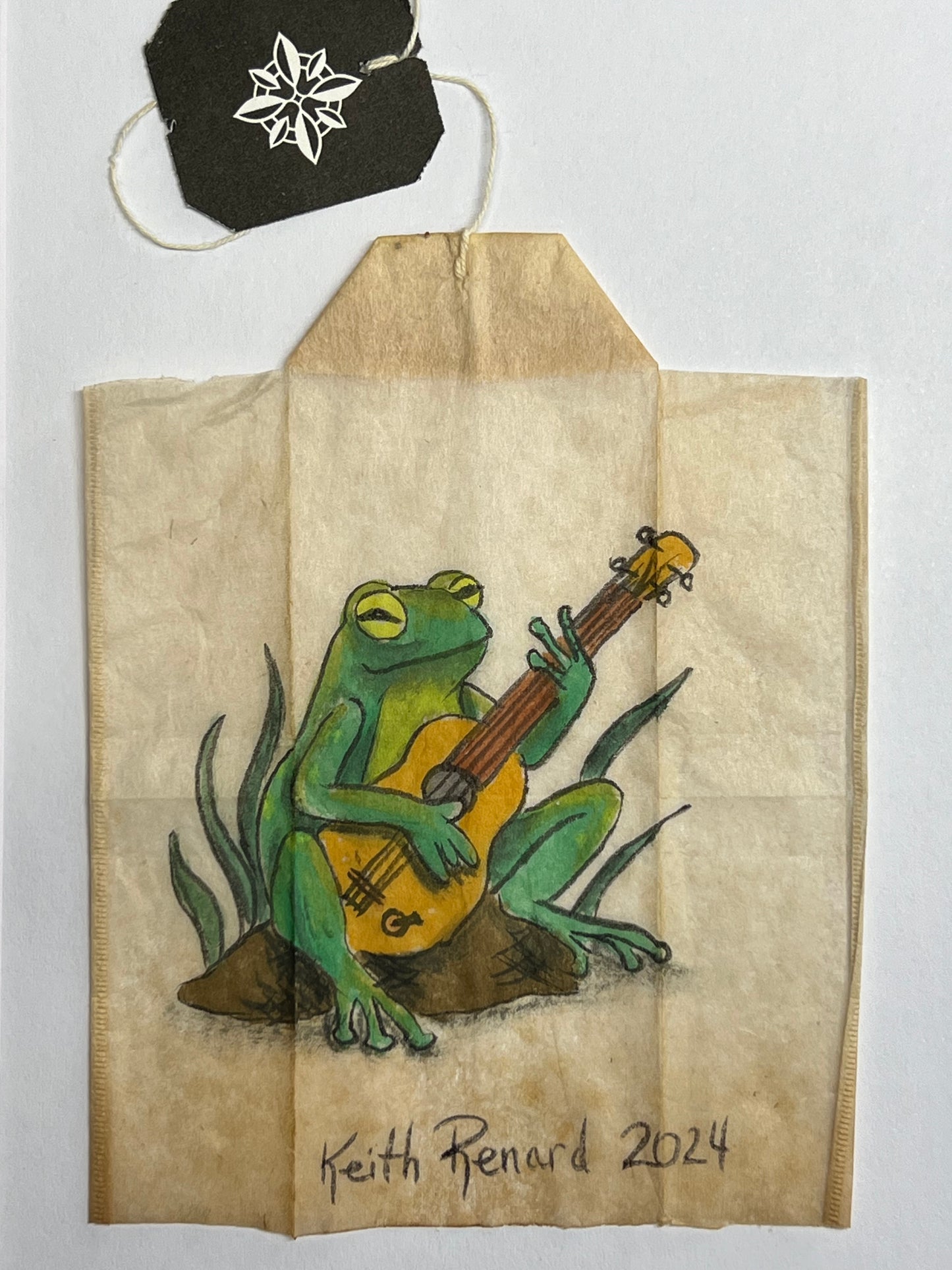 Frog with Guitar