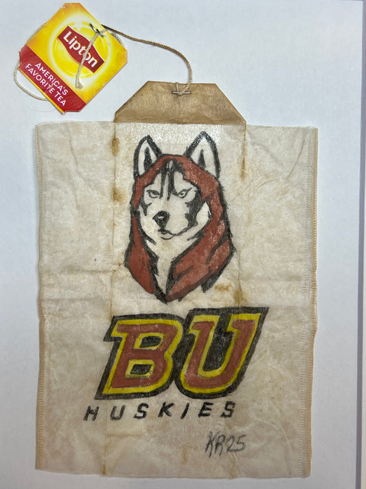 Bloomsburg university BU Huskies
